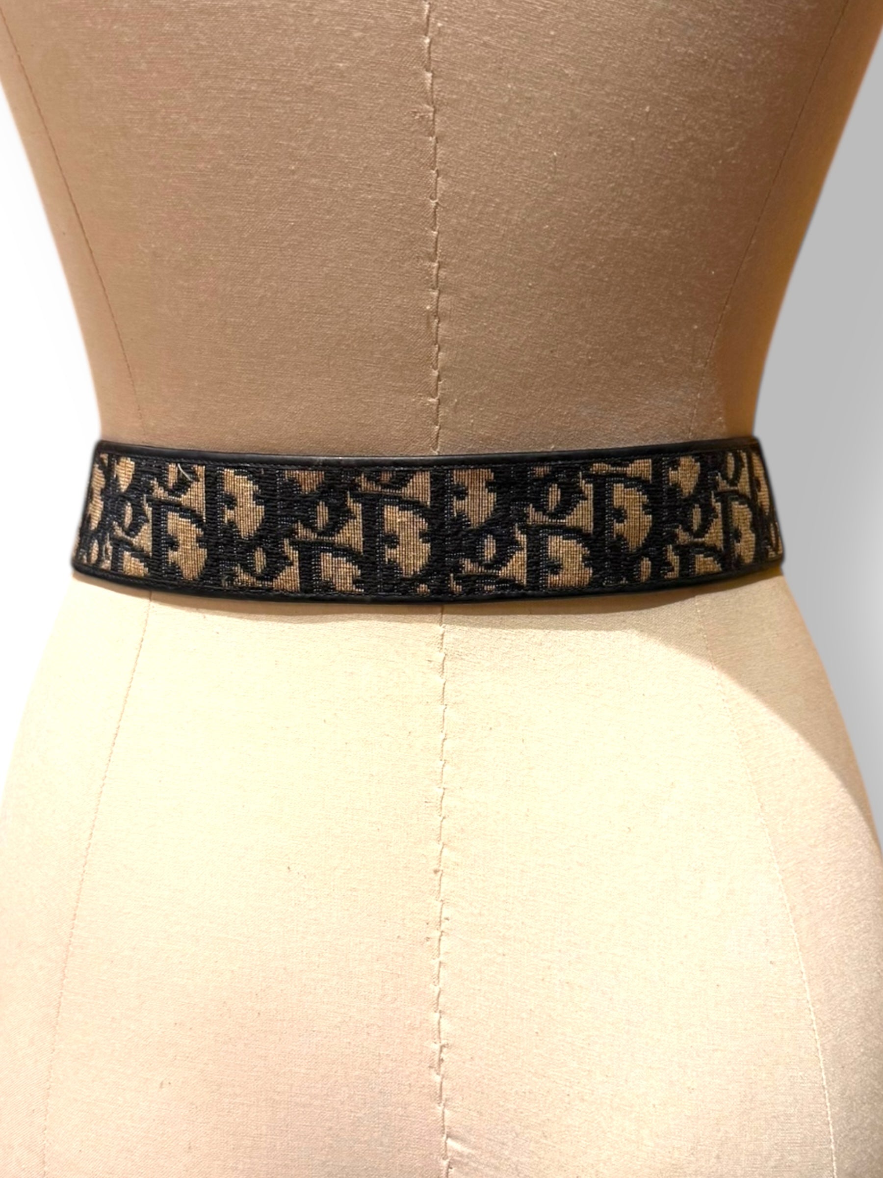 Christian Dior oblique belt