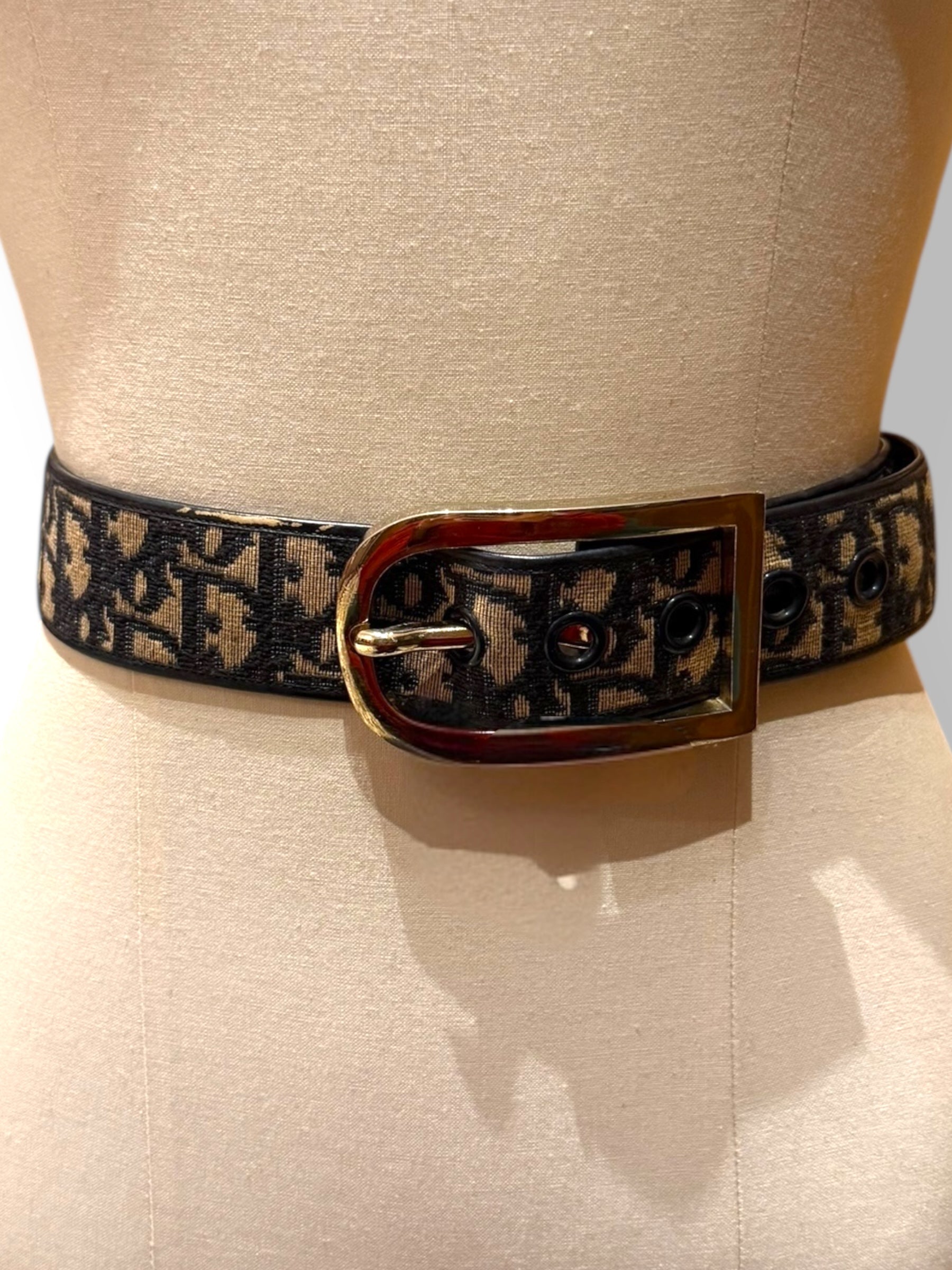 Christian Dior oblique belt
