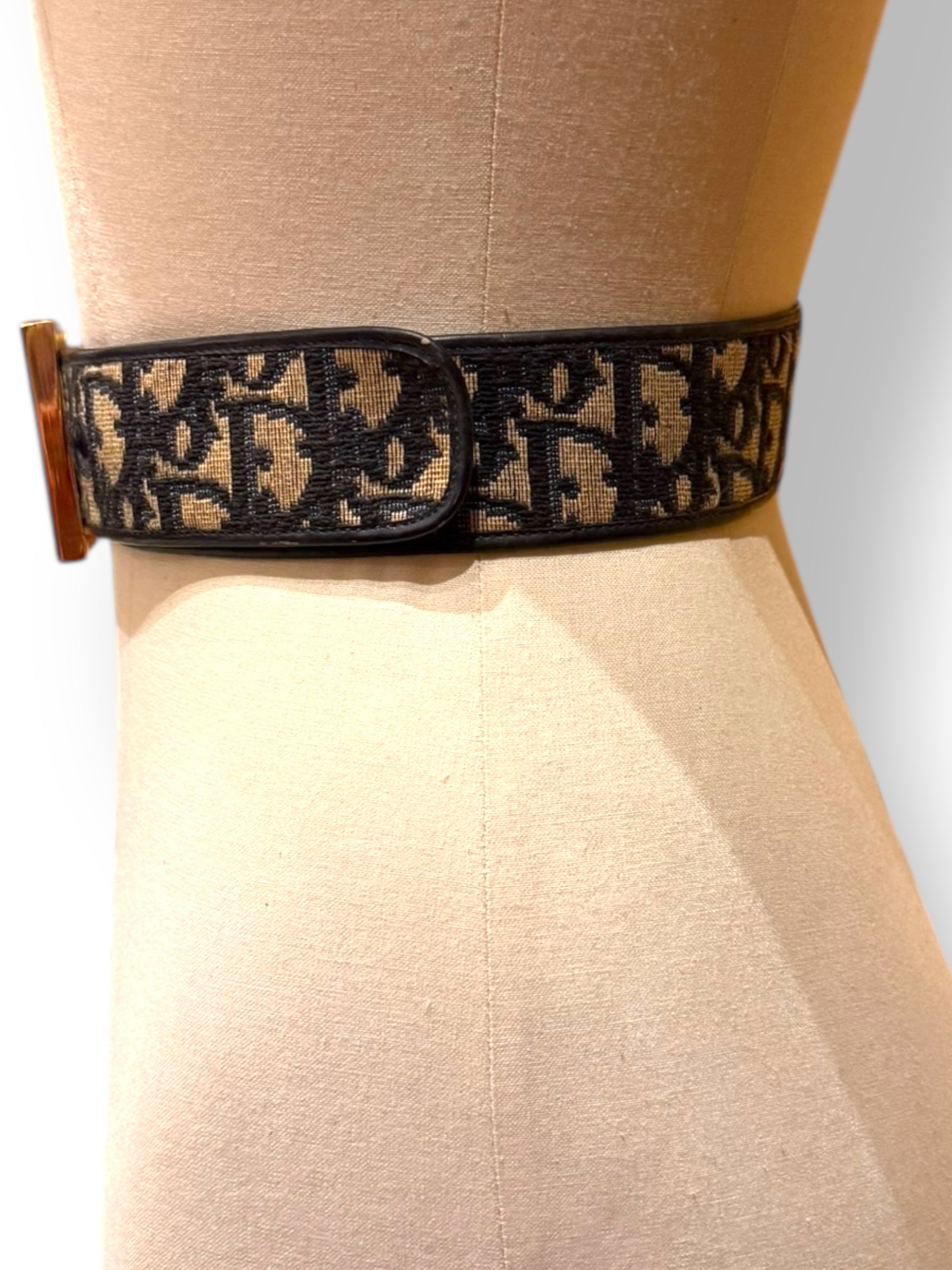 Christian Dior oblique belt